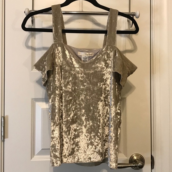 Beautiful drop sleeve silver velvet top by Say What? (S) - Picture 2 of 13